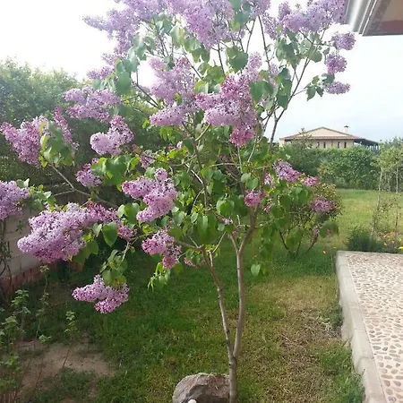 Villadelsol Casa de Férias *